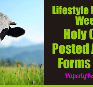 My Seventh Week As A Lifestyle Blogger – Holy Cow I Posted A Lot Of Forms Week