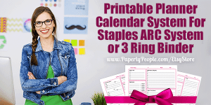 Discbound Notebook Planner Ideas! - Paperly People